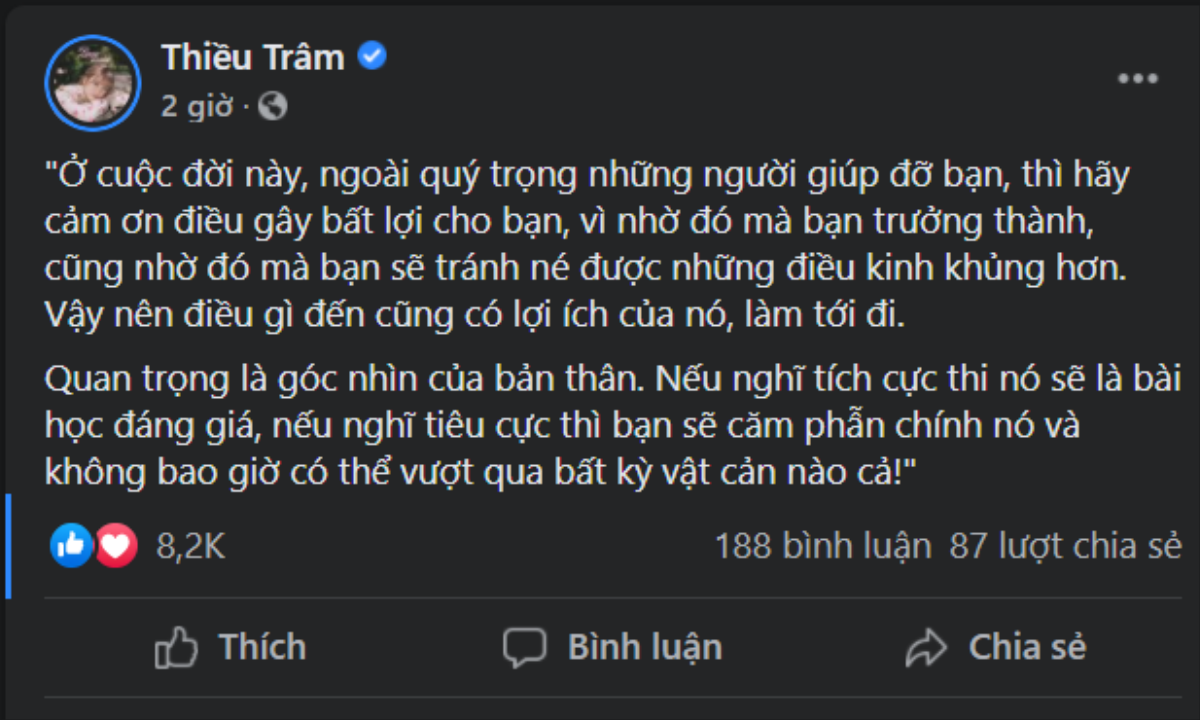 Thiều Bảo Trâm đăng status 'cảm ơn điều gây bất lợi', dân mạng tranh cãi đang 'đá xéo' Hải Tú? Ảnh 3