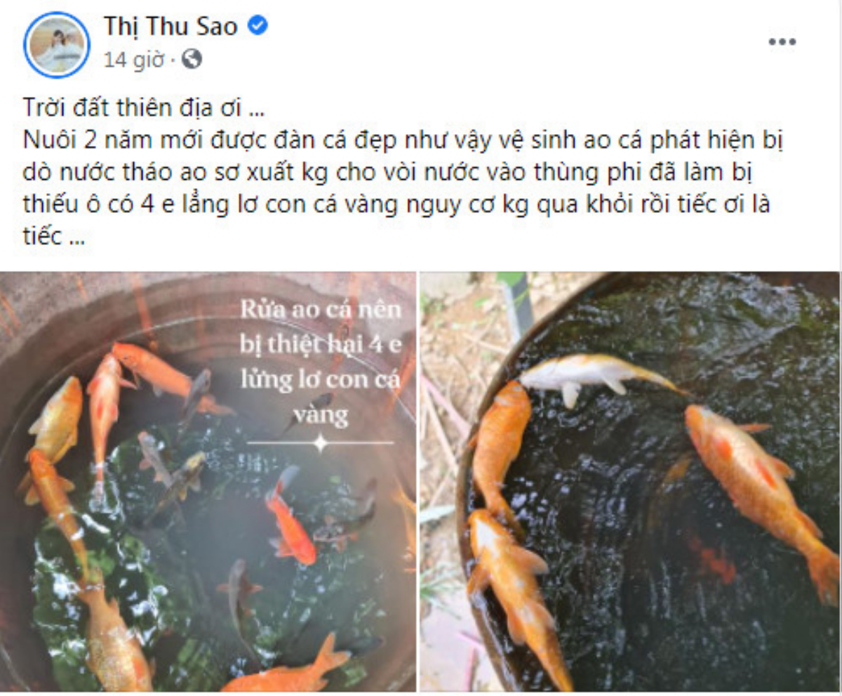 Cuộc sống hôn nhân êm đềm của 'cô dâu 62 tuổi' Thu Sao và chồng trẻ hiện tại Ảnh 2