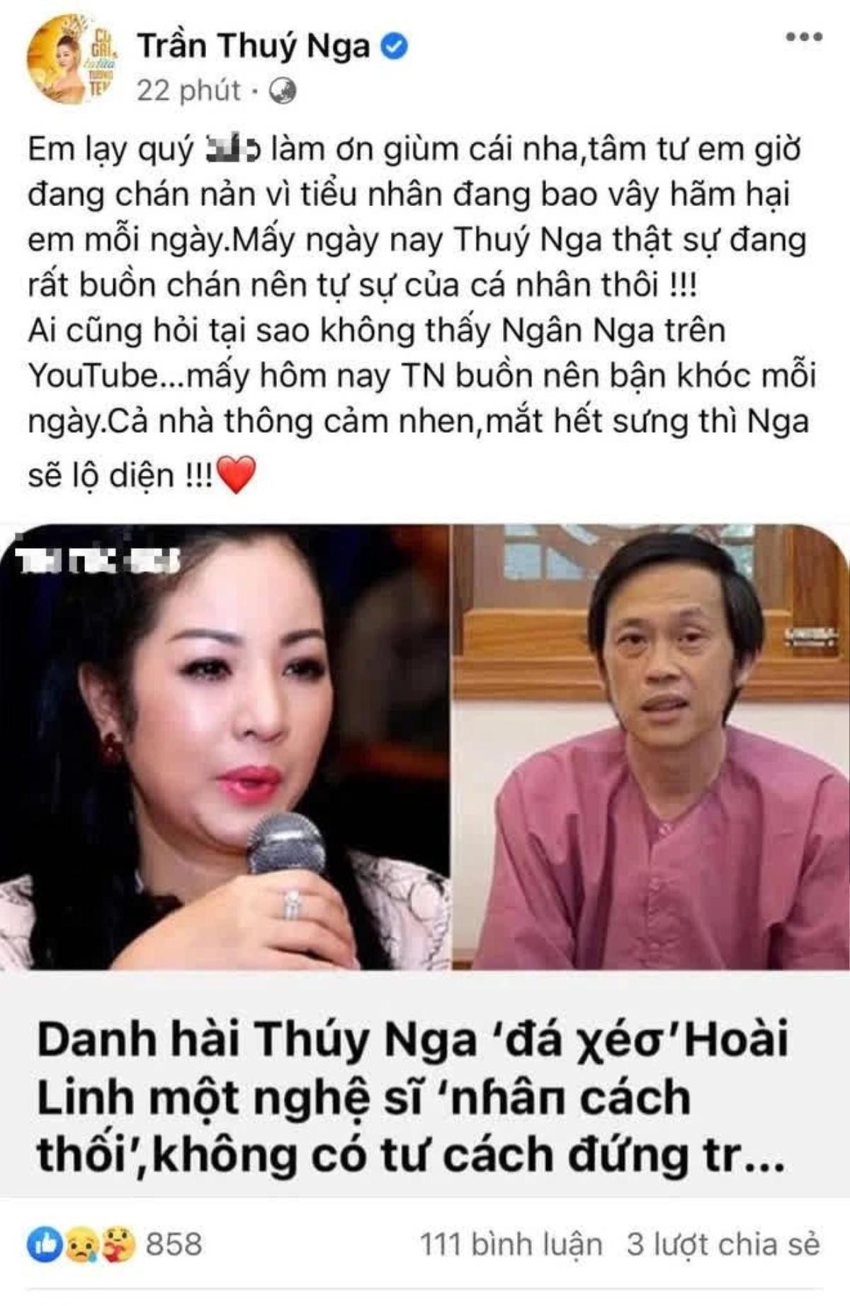 Bị nghi 'đá xéo' Hoài Linh giữa lùm xùm từ thiện, Thúy Nga lên tiếng cùng câu chuyện khóc sướt mướt Ảnh 3