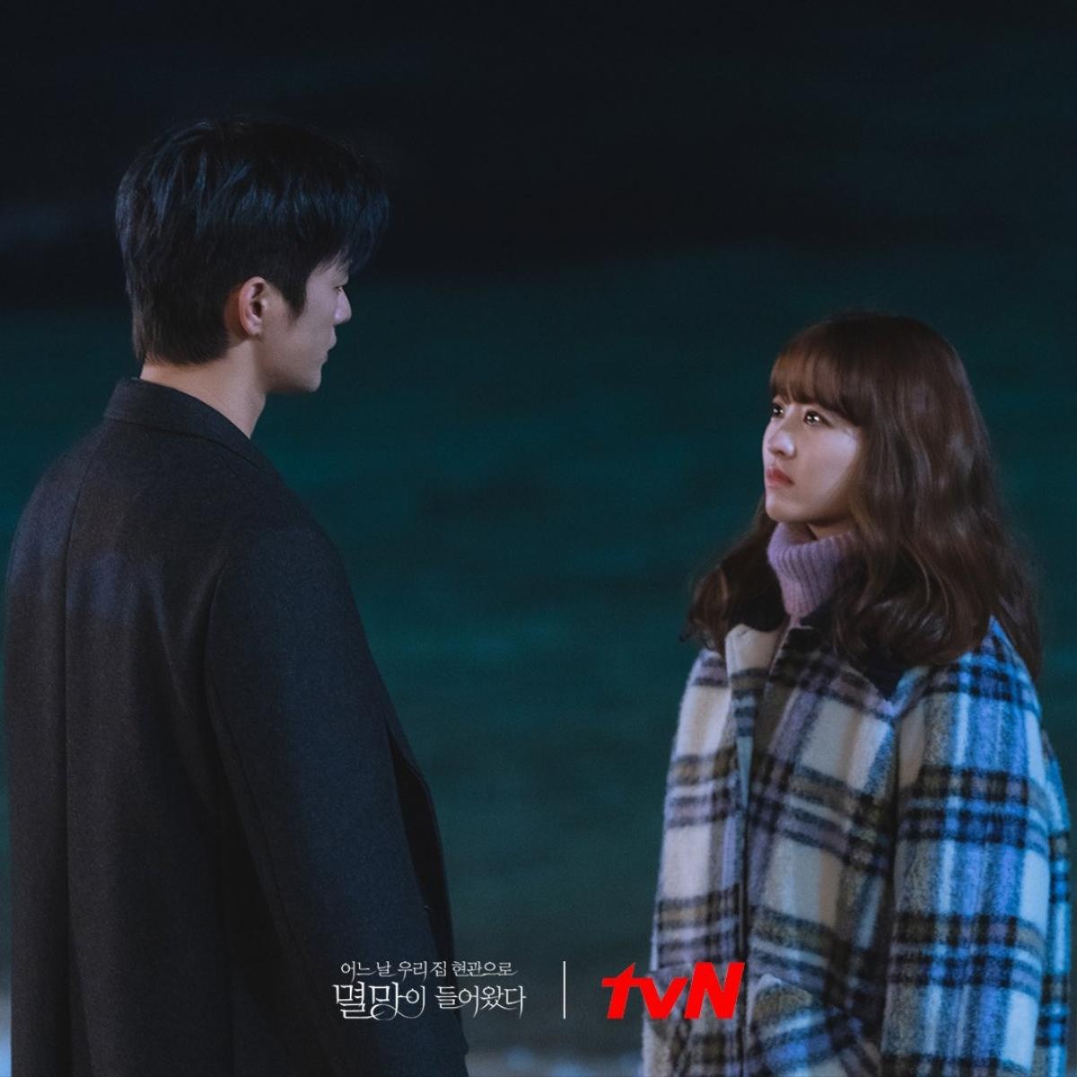 Phim của Park Ji Hoon lên sóng - Phim của Park Bo Young rating giảm xuống mức thấp nhất Ảnh 4