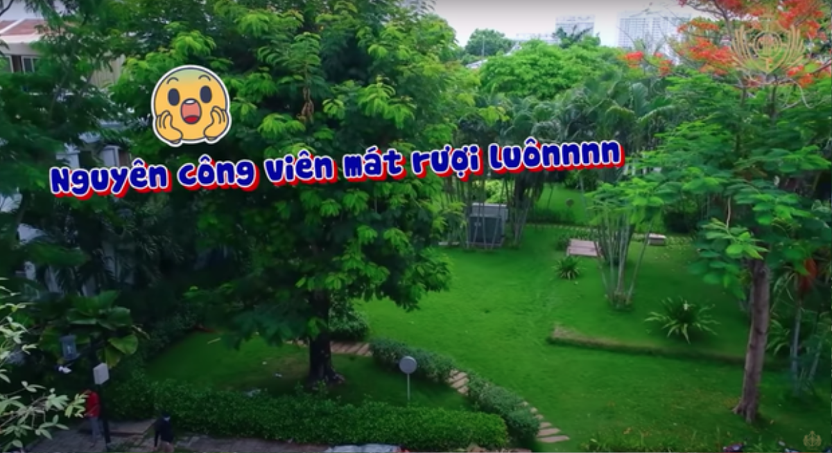 Ai chịu chơi bằng đại gia Minh Nhựa, tậu cả căn biệt thự Phú Mỹ Hưng vì thích cái cây trong nhà Ảnh 5