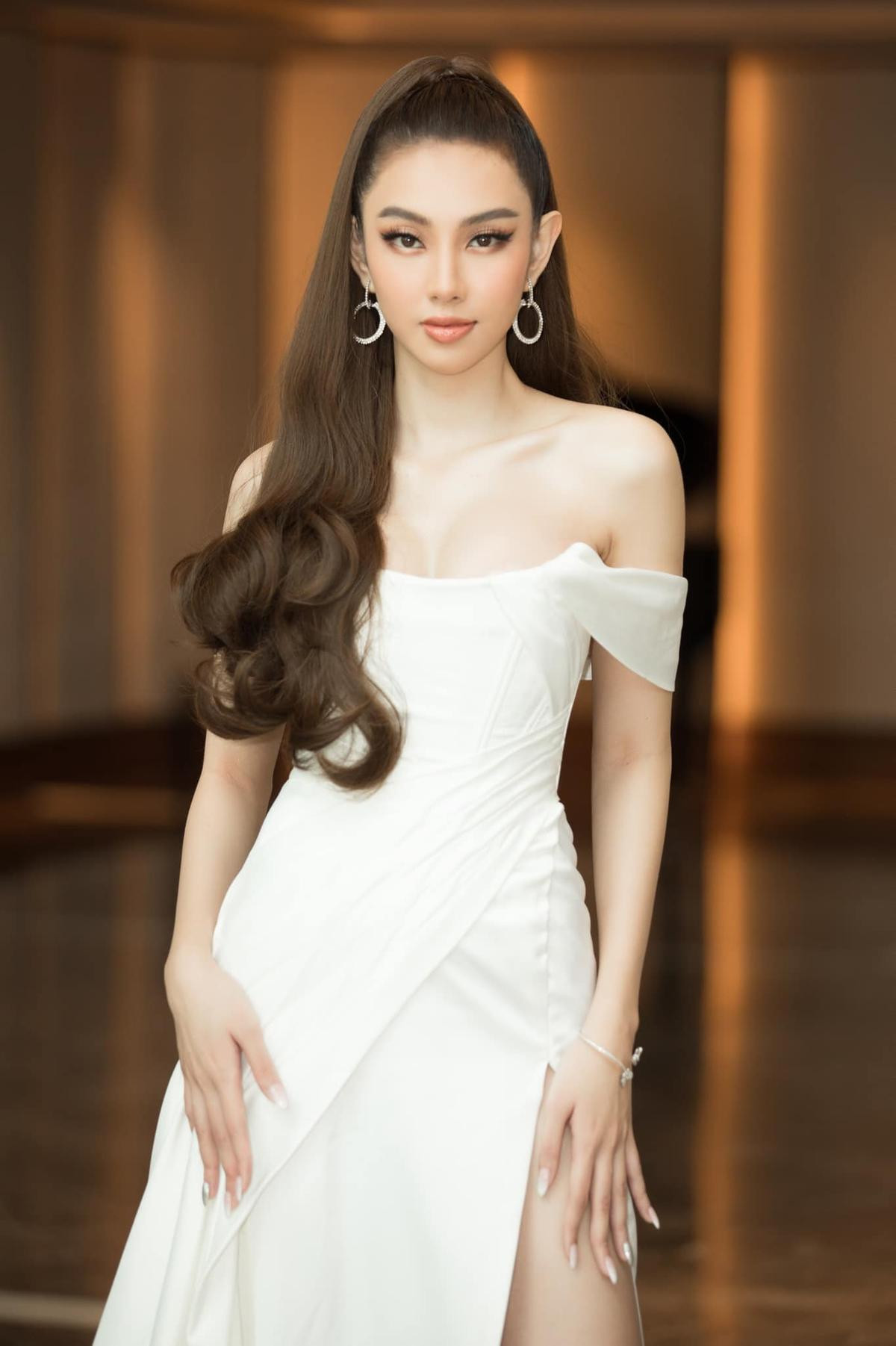 Lương Thùy Linh - Tiểu Vy được 'đề cử' chinh chiến Miss Grand 2021: Mỹ nhân nào sẽ tiếp nối Ngọc Thảo? Ảnh 17