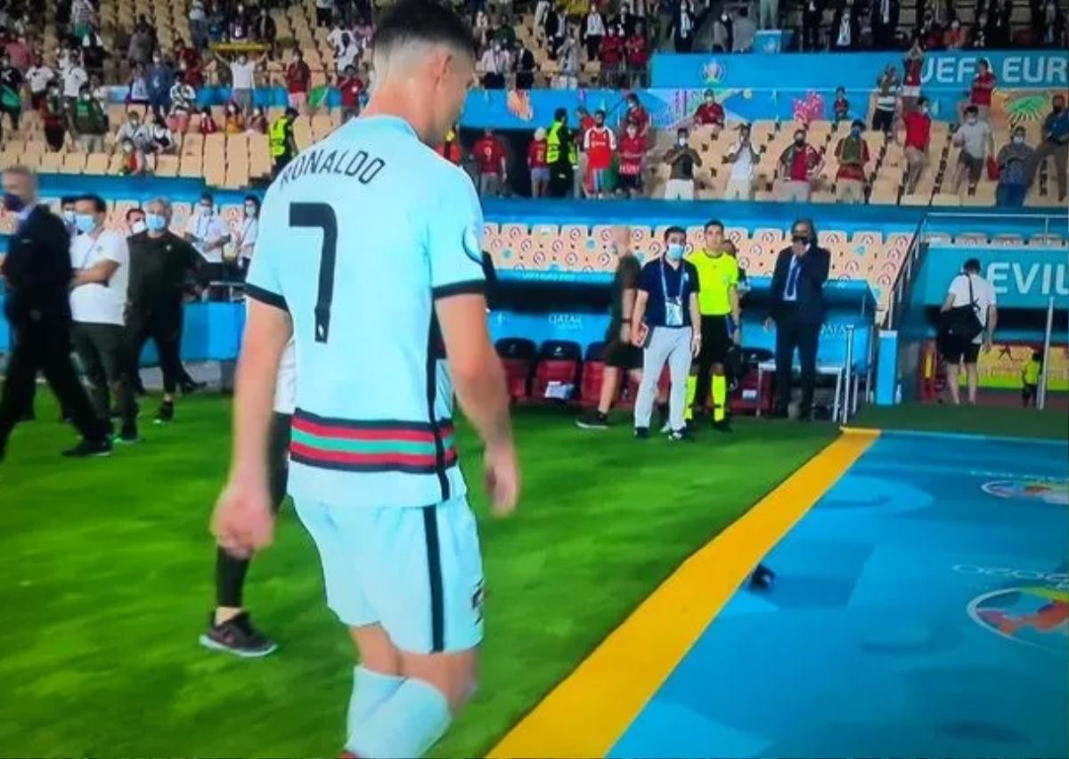 Clip Ronaldo ném và đá băng đội trưởng của Bồ Đào Nha Ảnh 1