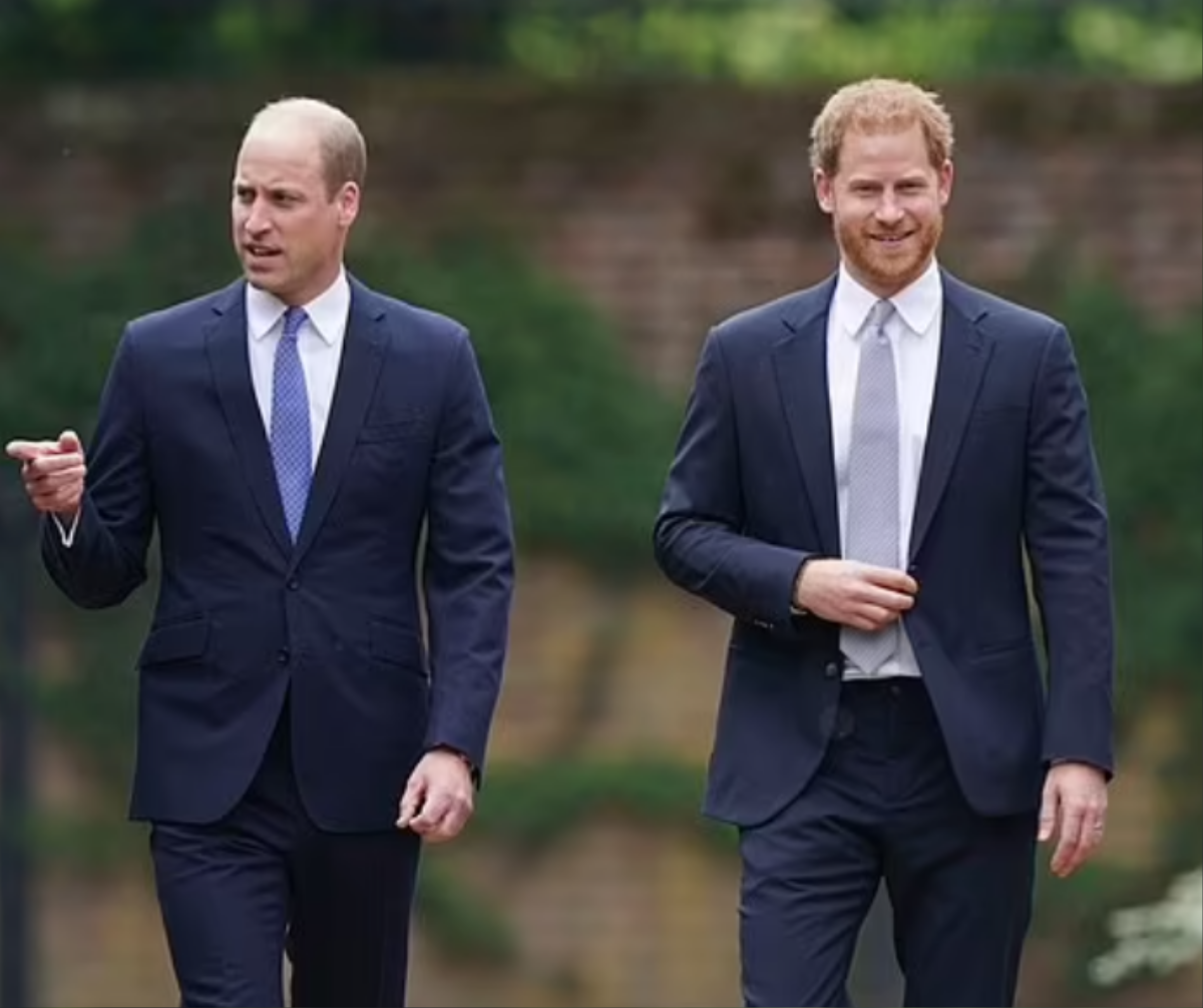 Những khoảnh khắc ấm áp của anh em William - Harry trong lễ khánh thành tượng Diana Ảnh 11