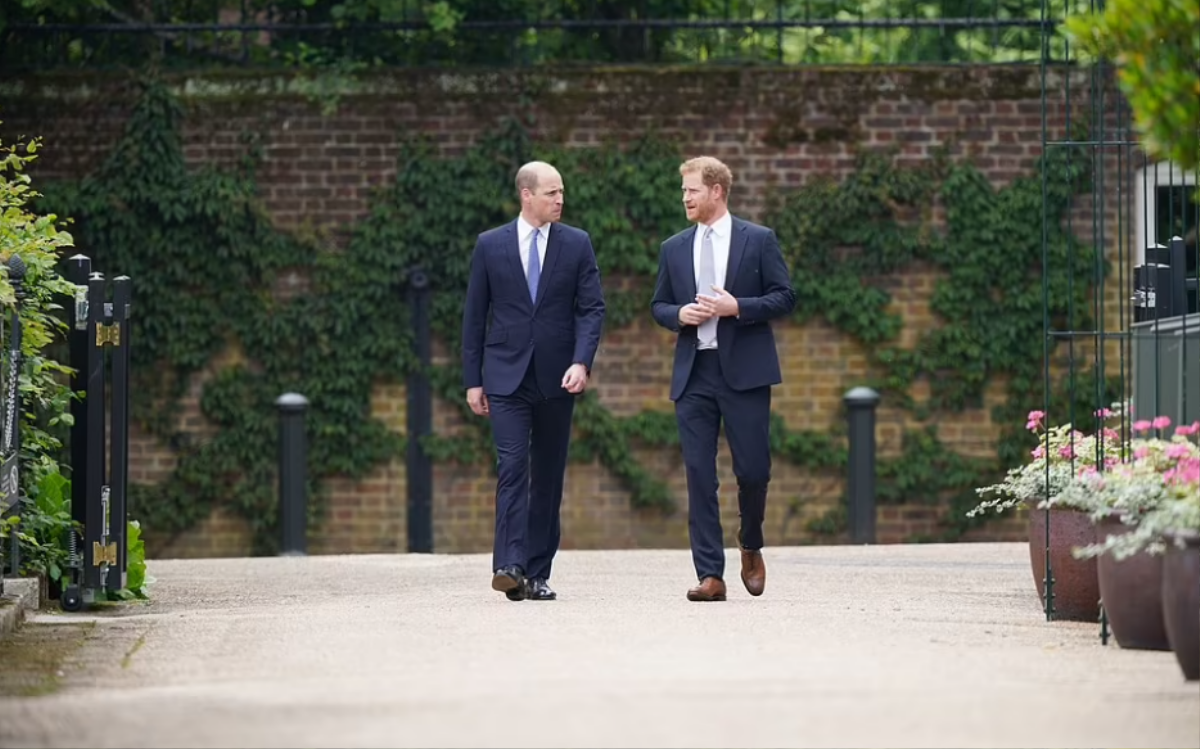 Những khoảnh khắc ấm áp của anh em William - Harry trong lễ khánh thành tượng Diana Ảnh 6