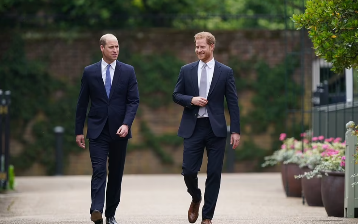 Những khoảnh khắc ấm áp của anh em William - Harry trong lễ khánh thành tượng Diana Ảnh 7