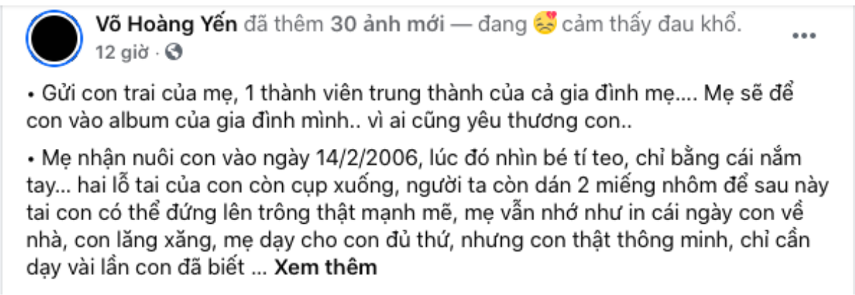 Từ Mỹ, Võ Hoàng Yến đau khổ khi nhận tin 'con trai' qua đời Ảnh 2