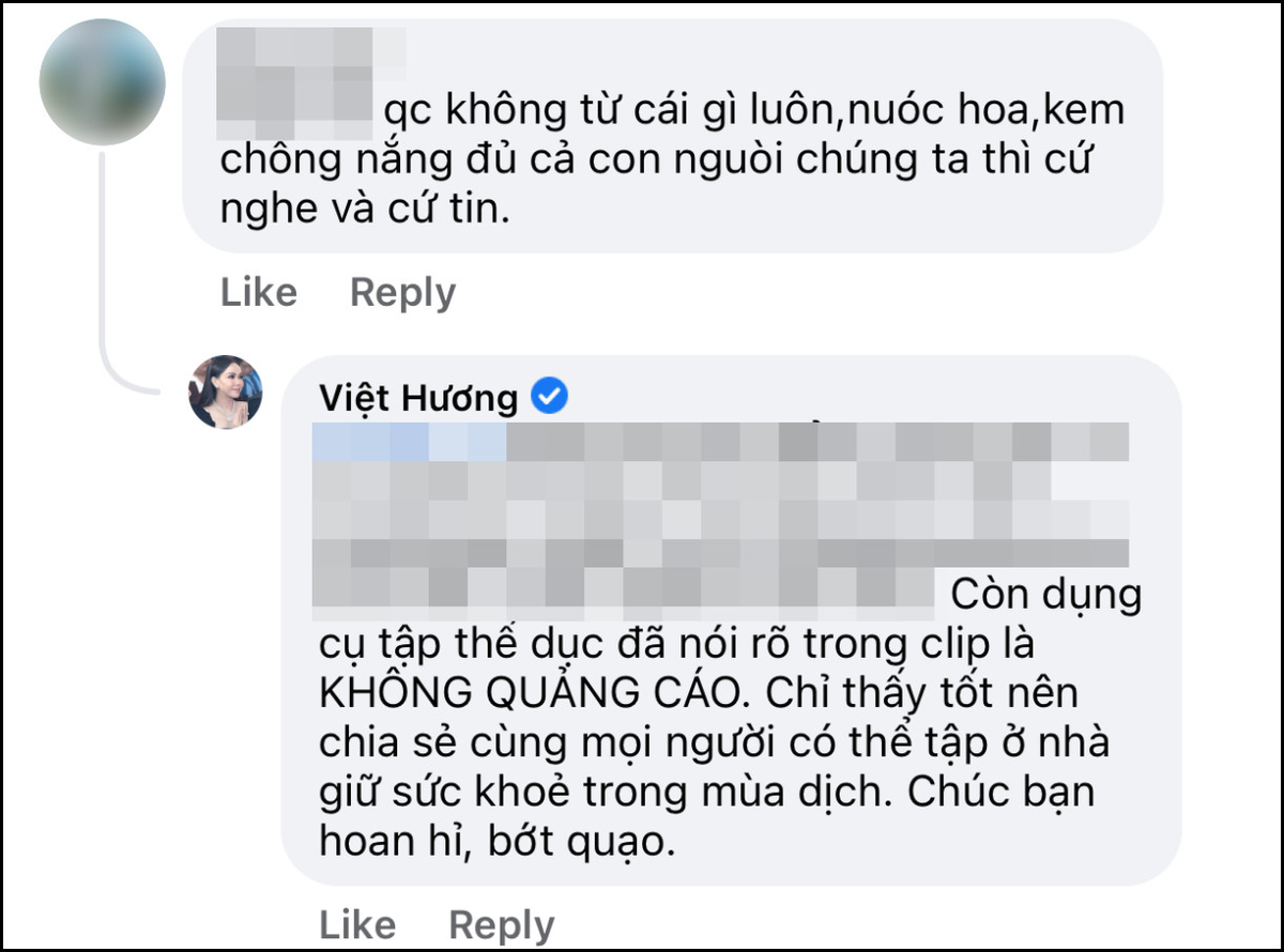 Việt Hương đáp trả 'cực gắt' khi bị nói là 'diễn viên hài hay bán hàng online xàm xí' Ảnh 3