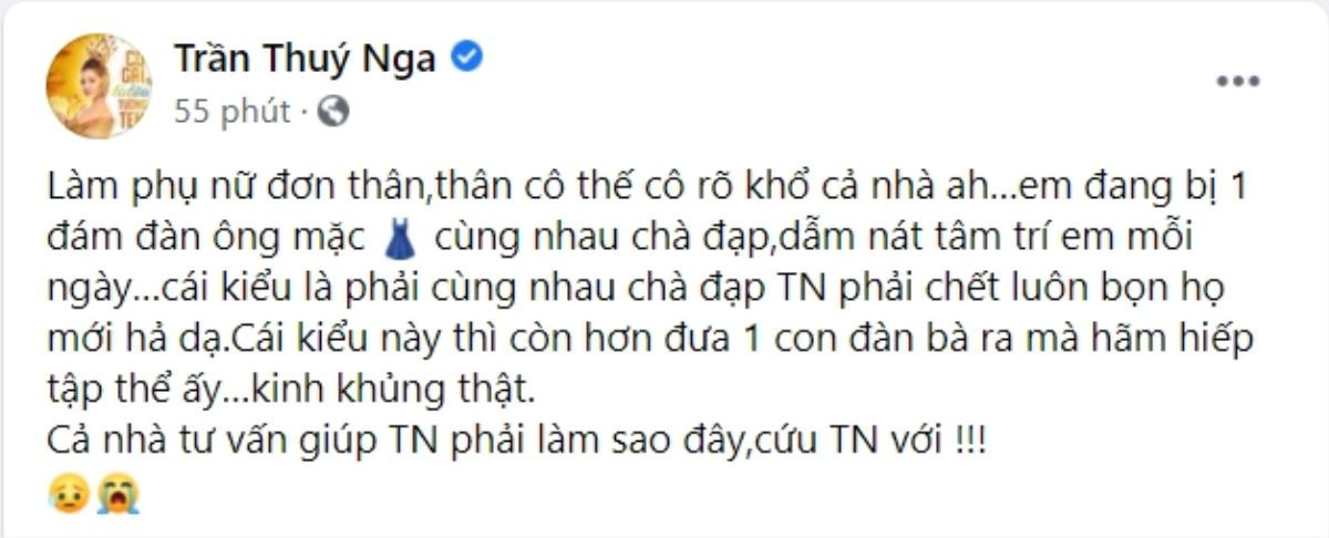 Thúy Nga kêu cứu, bị ép phải chết và chà đạp sau ồn ào với Kim Ngân: 'Còn hơn bị hãm hiếp tập thể' Ảnh 1