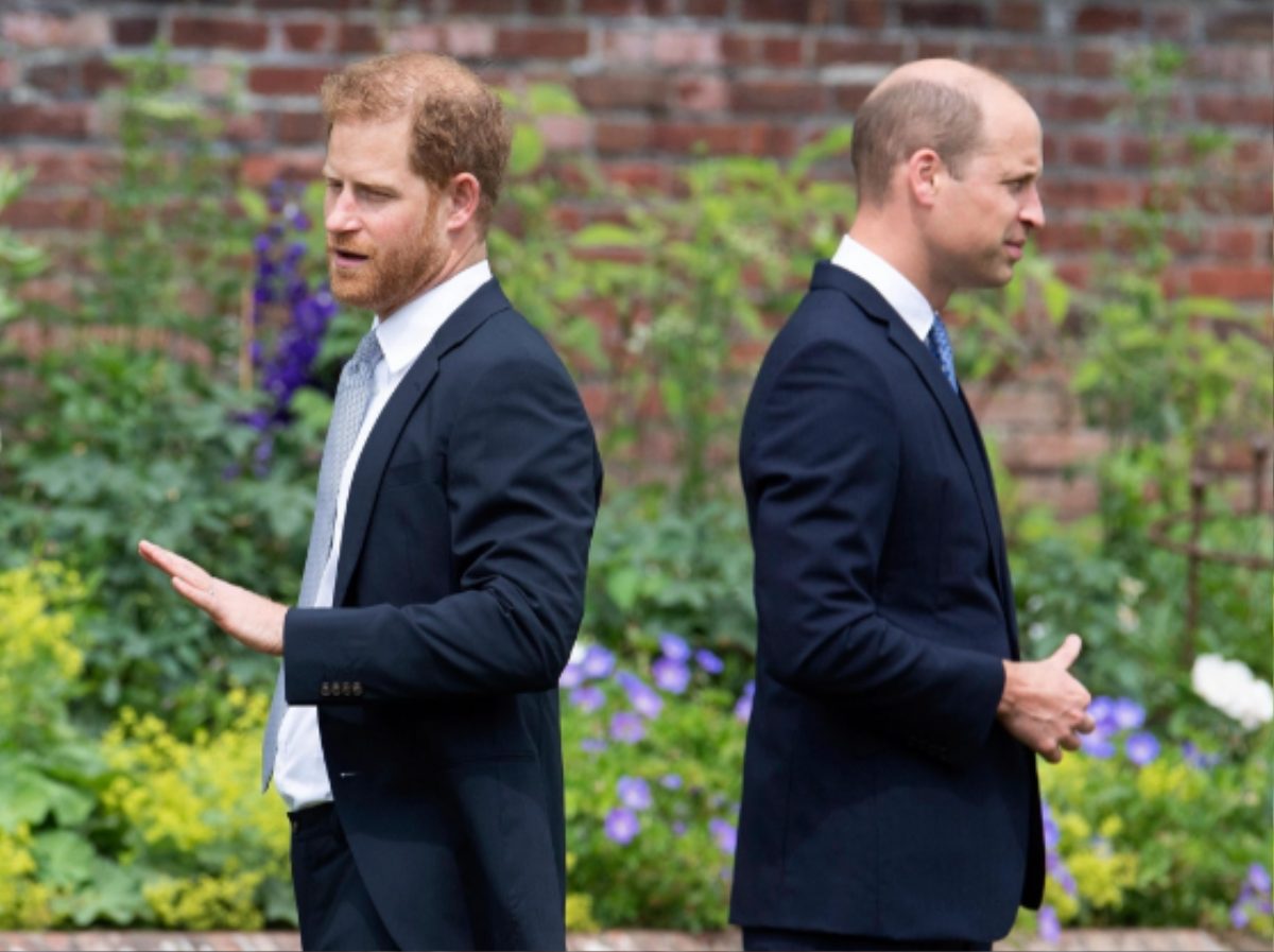 Hy sinh mọi thứ cho vợ, Harry vẫn bị 'giằng xé' giữa Meghan và hoàng gia Ảnh 3