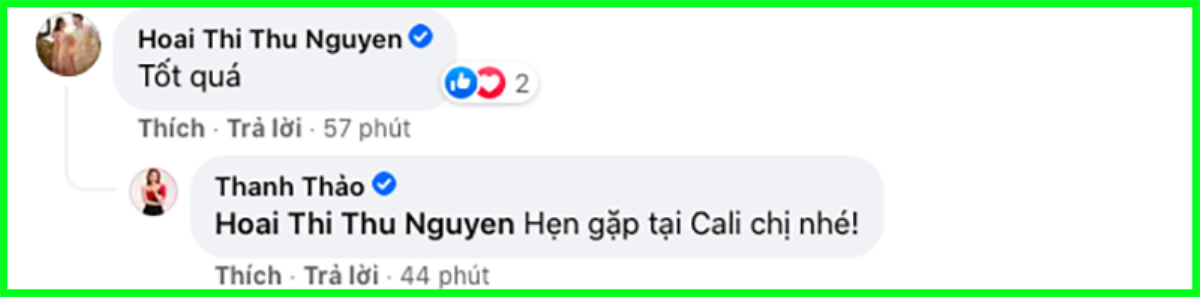 Bị netizen mắng chửi 'vô ơn với quê hương' khi về Mỹ tránh dịch, ca sĩ Thanh Thảo bức xúc 'đáp trả' Ảnh 8