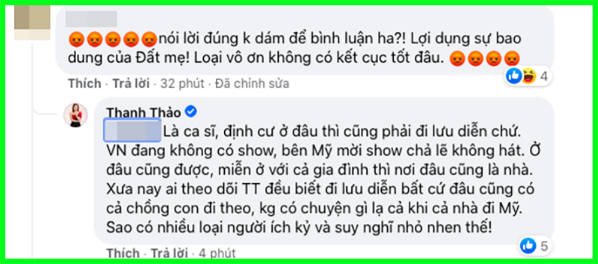 Bị netizen mắng chửi 'vô ơn với quê hương' khi về Mỹ tránh dịch, ca sĩ Thanh Thảo bức xúc 'đáp trả' Ảnh 6