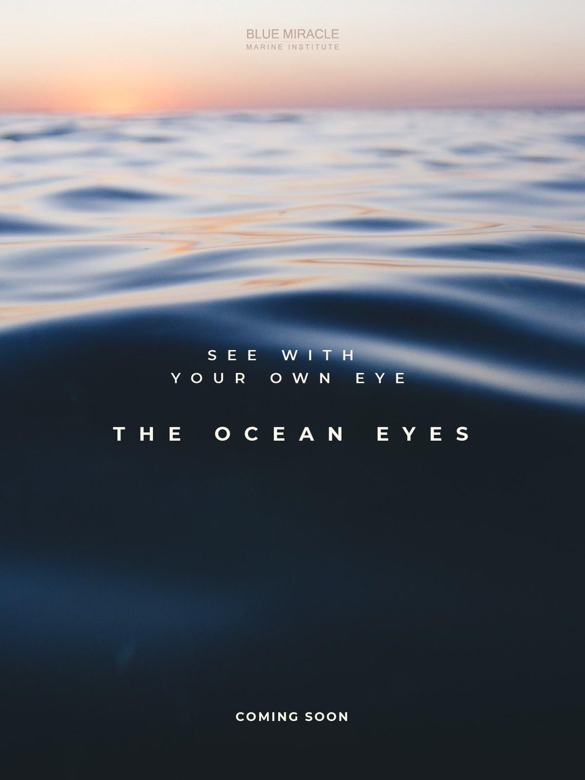 Mew Suppasit lấn sân sang sản xuất phim với dự án đầu tay liên doanh Thái - Trung - Mỹ 'The Ocean Eyes' Ảnh 2