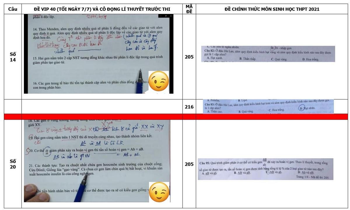 Bị 'tố' ra câu hỏi ôn tập môn Sinh giống đề chính thức thi tốt nghiệp THPT đến 80%, thầy giáo lên tiếng? Ảnh 5