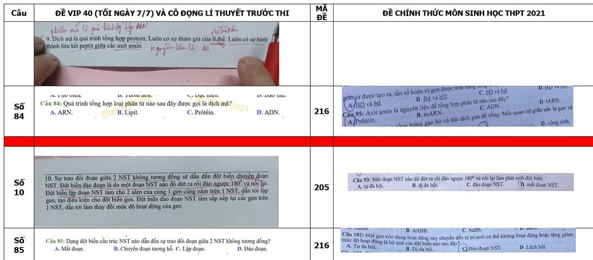 Bị 'tố' ra câu hỏi ôn tập môn Sinh giống đề chính thức thi tốt nghiệp THPT đến 80%, thầy giáo lên tiếng? Ảnh 8