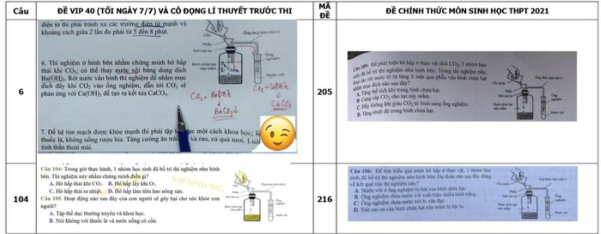 Thầy giáo bị 'tố' ra câu hỏi ôn tập môn Sinh giống đề chính thức thi tốt nghiệp THPT: Bộ GD&ĐT nói gì? Ảnh 2