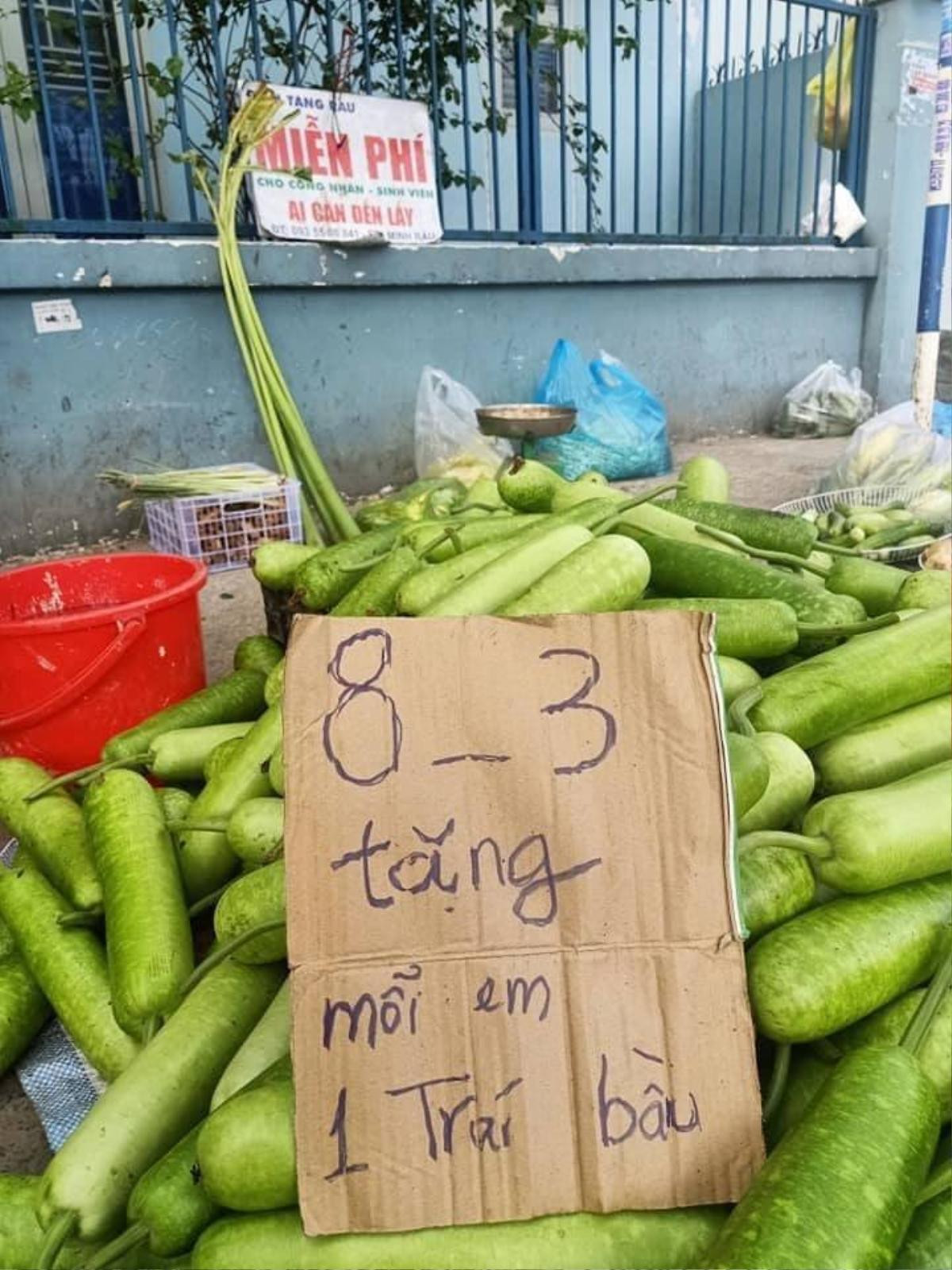 Anh bán rau 'chất nhất mùa cô vy' bị chửi ngu, gây 'bão mạng' với phát ngôn 'đỉnh của chóp' Ảnh 6