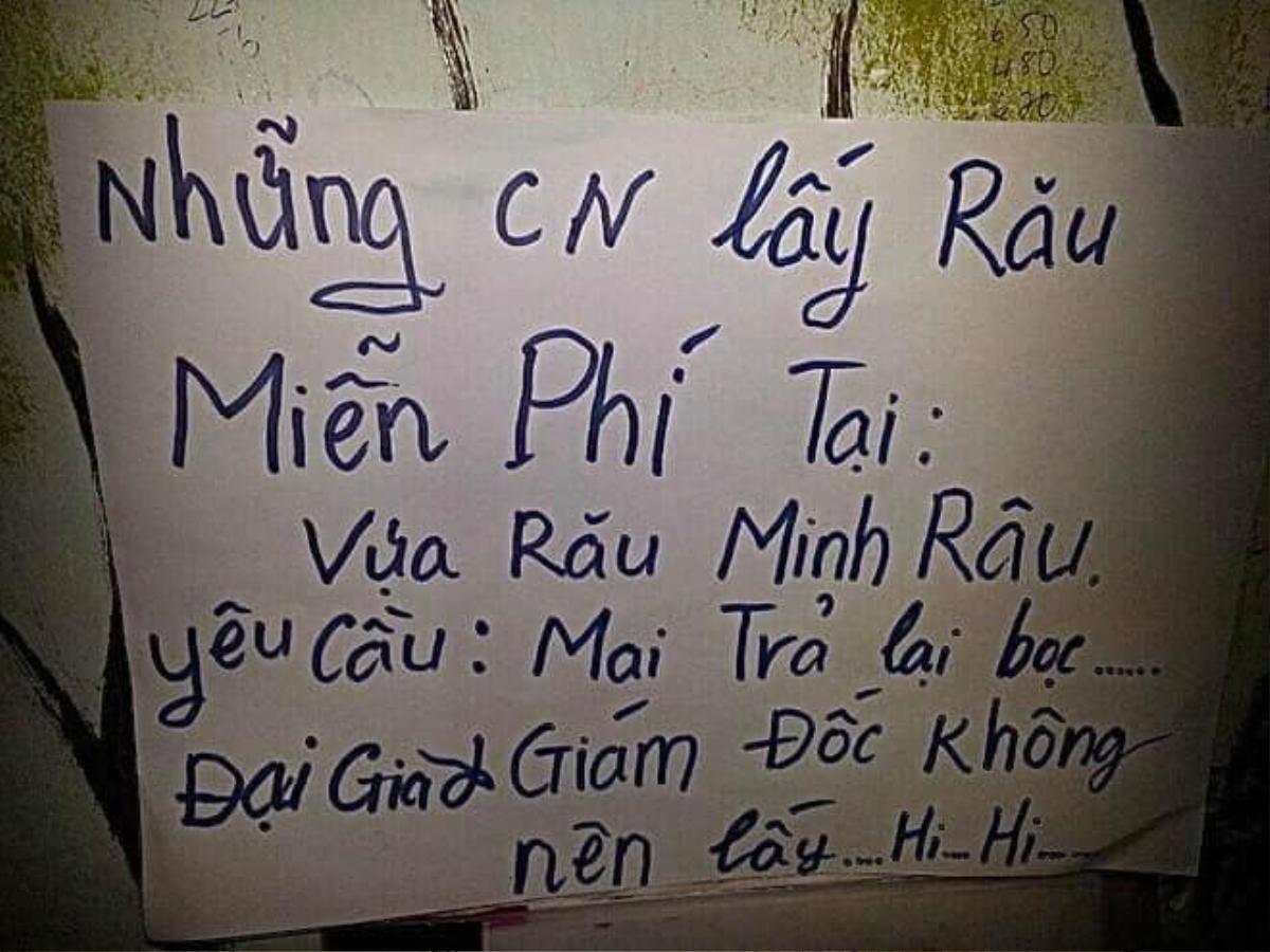 Anh bán rau 'chất nhất mùa cô vy' bị chửi ngu, gây 'bão mạng' với phát ngôn 'đỉnh của chóp' Ảnh 12