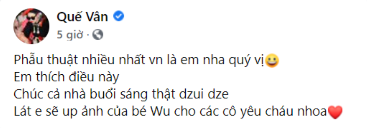 Quế Vân tự hào nhận mình là người phẫu thuật thẩm mỹ nhiều nhất Việt Nam Ảnh 2