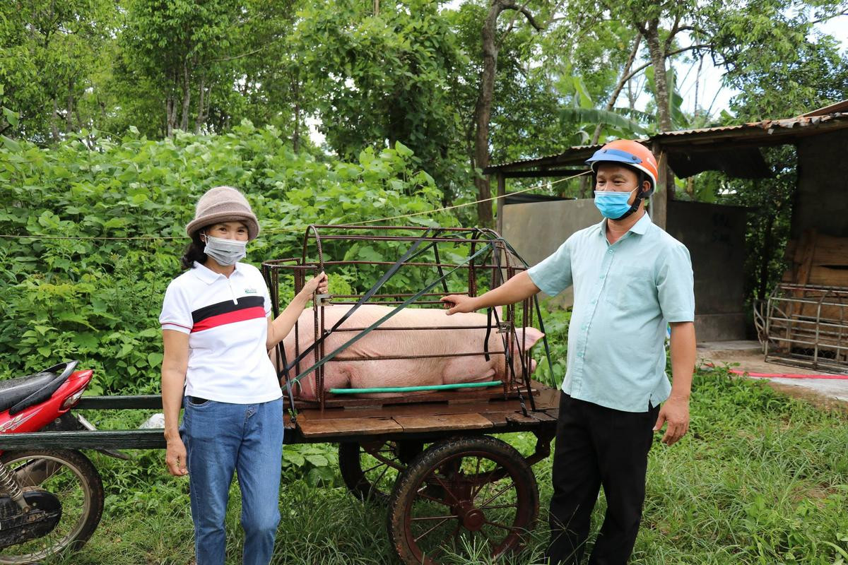 Bà con miền Trung gửi quả bí, con lợn đến người dân Sài Gòn: 'Thành phố ơi, mau khỏe nhé!' Ảnh 2