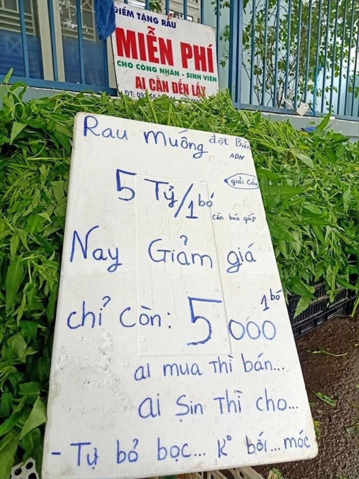 Mới bị chửi vì pha bán hàng 'cực chất', anh chàng bán rau lại gây bão dư luận vì hành động đẹp này Ảnh 3