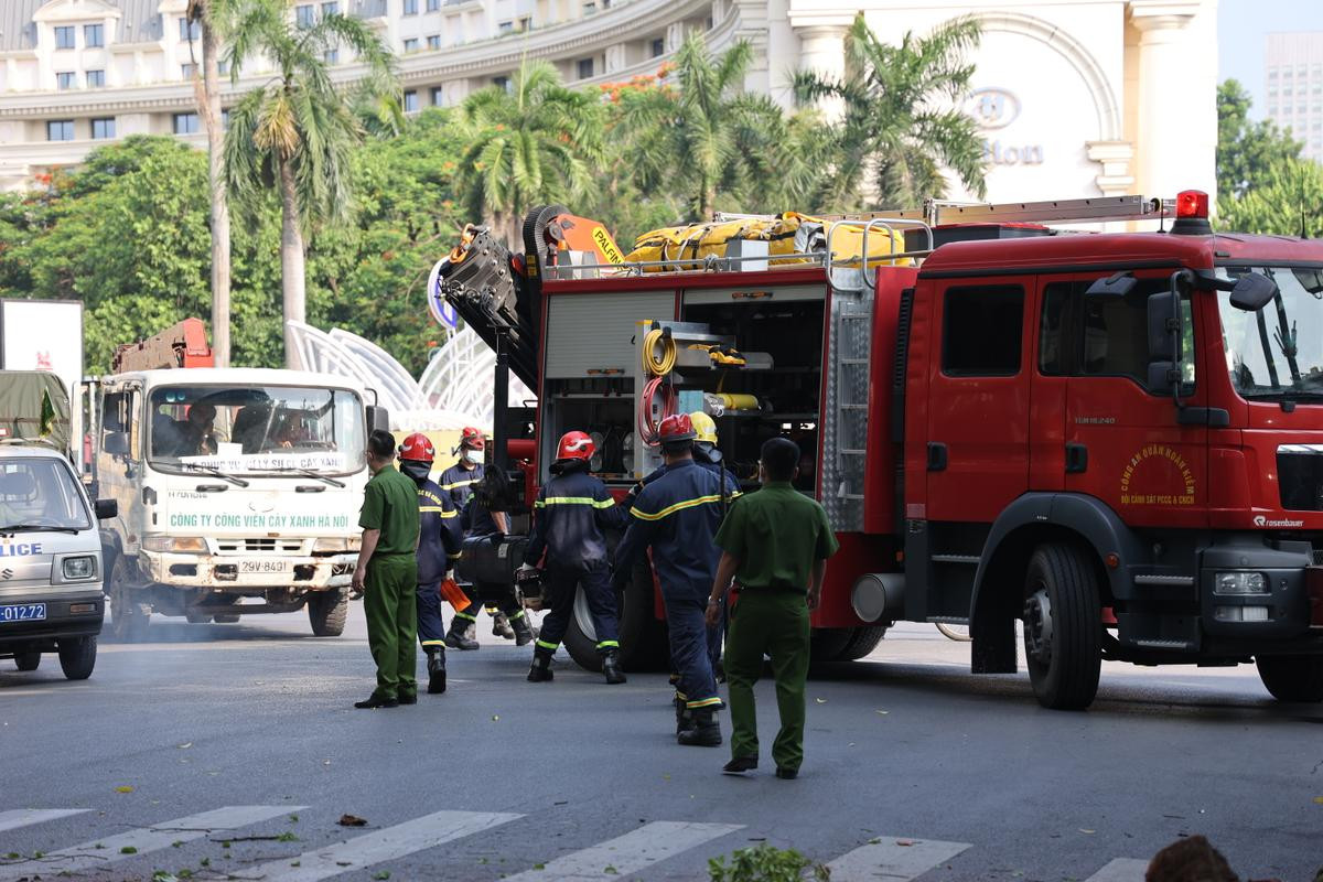 Hà Nội: Cây lớn bất ngờ đổ chắn ngang phố Lý Thái Tổ dù không có mưa to, gió mạnh Ảnh 6