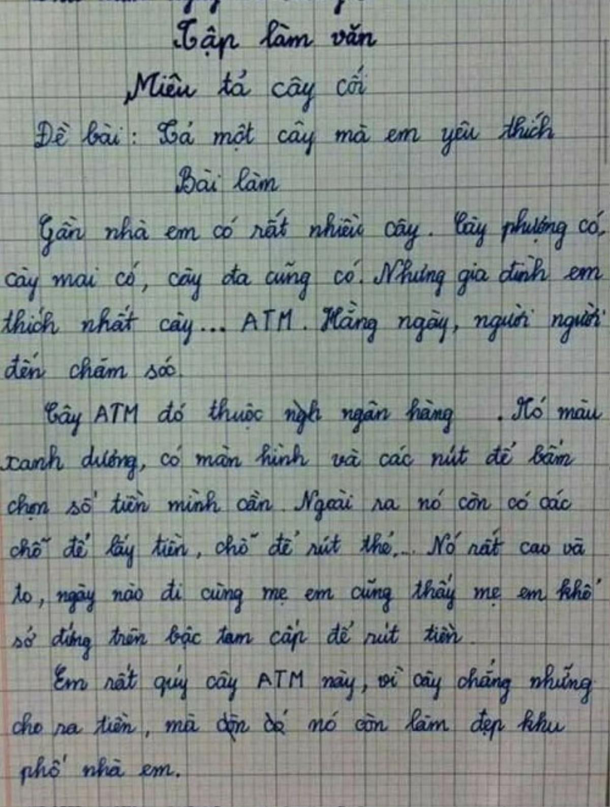 Bài văn tả cái cây của bé học sinh khiến dân tình cười ngất: 'Cây này thì có ai mà không thích?' Ảnh 1