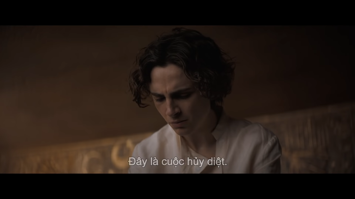 Timothée Chalamet 'lột xác' đầy ngoạn mục bên cạnh dàn sao Hollywood khủng trong phim 'Dune' Ảnh 28