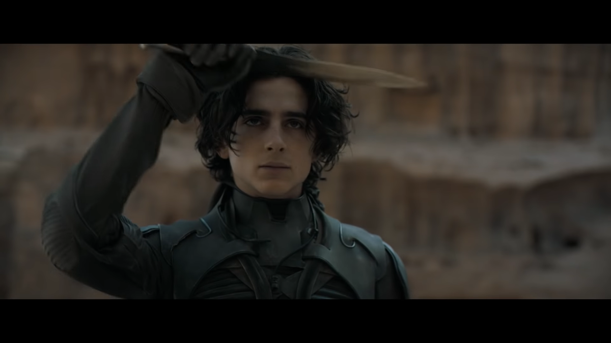 Timothée Chalamet 'lột xác' đầy ngoạn mục bên cạnh dàn sao Hollywood khủng trong phim 'Dune' Ảnh 26