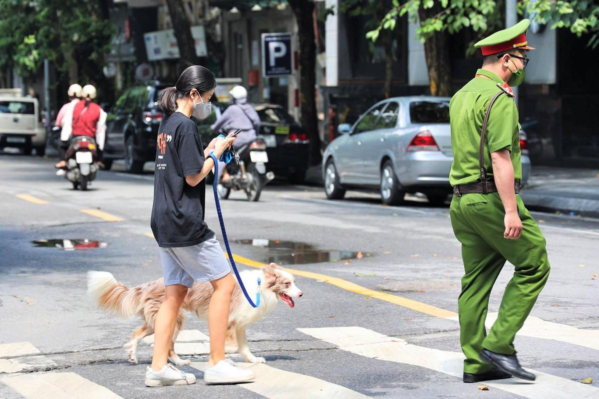 Hà Nội: Xử phạt 2 triệu đồng đối với cô gái dắt chó đi dạo trong buổi đầu giãn cách xã hội Ảnh 1