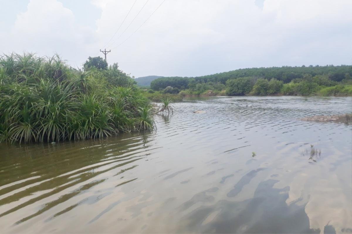 Phát hiện 1 thi thể nam giới trong đầm nuôi cá ở Quảng Ninh Ảnh 1