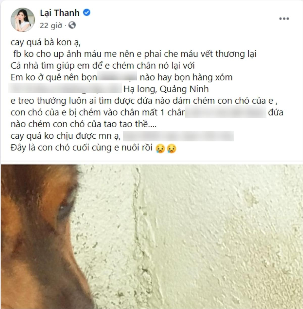 'Tình cũ Quang Lê' phẫn nộ, treo thưởng truy tìm kẻ chém mất chân chú chó cưng Ảnh 1