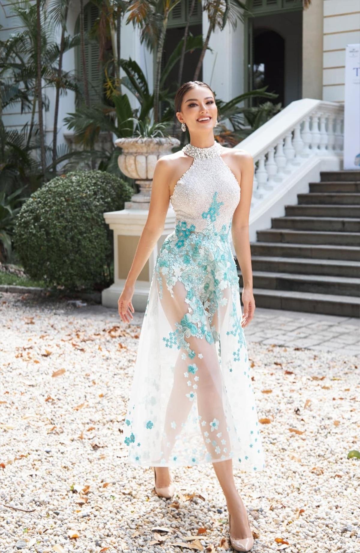 Fan gợi ý layout chuẩn Miss Universe cho Kim Duyên, e-kip không cần tìm tới tìm lui làm gì cho mệt Ảnh 7