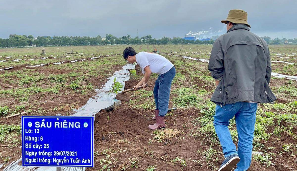 Cận cảnh bầu Đức, Kiatisak, Công Phượng đi trồng cây sầu riêng Ảnh 5