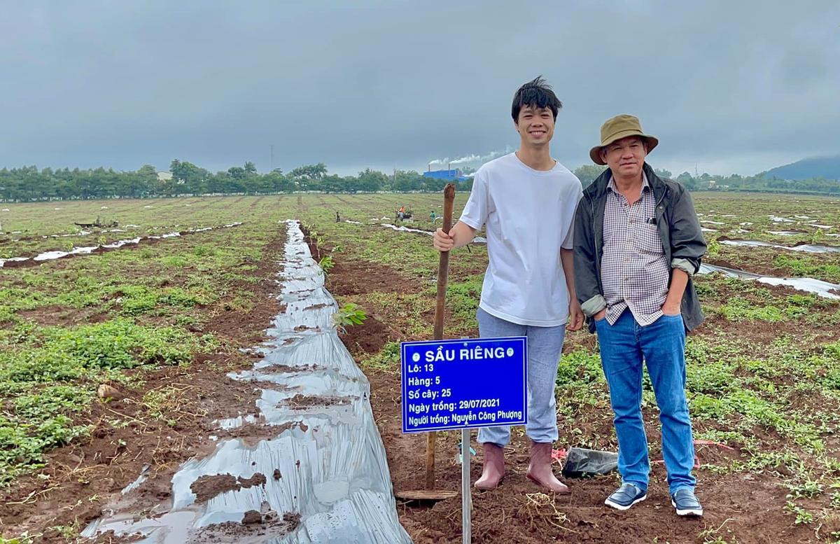 Cận cảnh bầu Đức, Kiatisak, Công Phượng đi trồng cây sầu riêng Ảnh 4