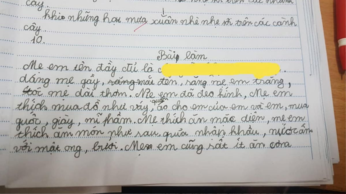 Học trò 'bóc phốt' mẹ với loạt tật xấu trong bài văn, nhưng câu chốt khiến ai nấy cũng nức nở khen Ảnh 1