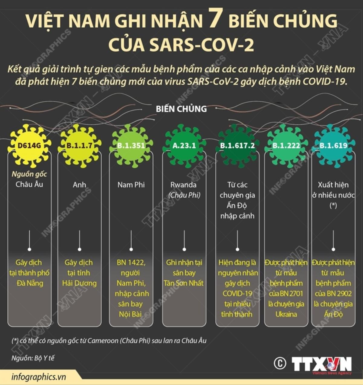 Đã có 7 biến chủng của virus SARS-CoV-2 ở Việt Nam, cần nâng cao cảnh giác hết mức Ảnh 1