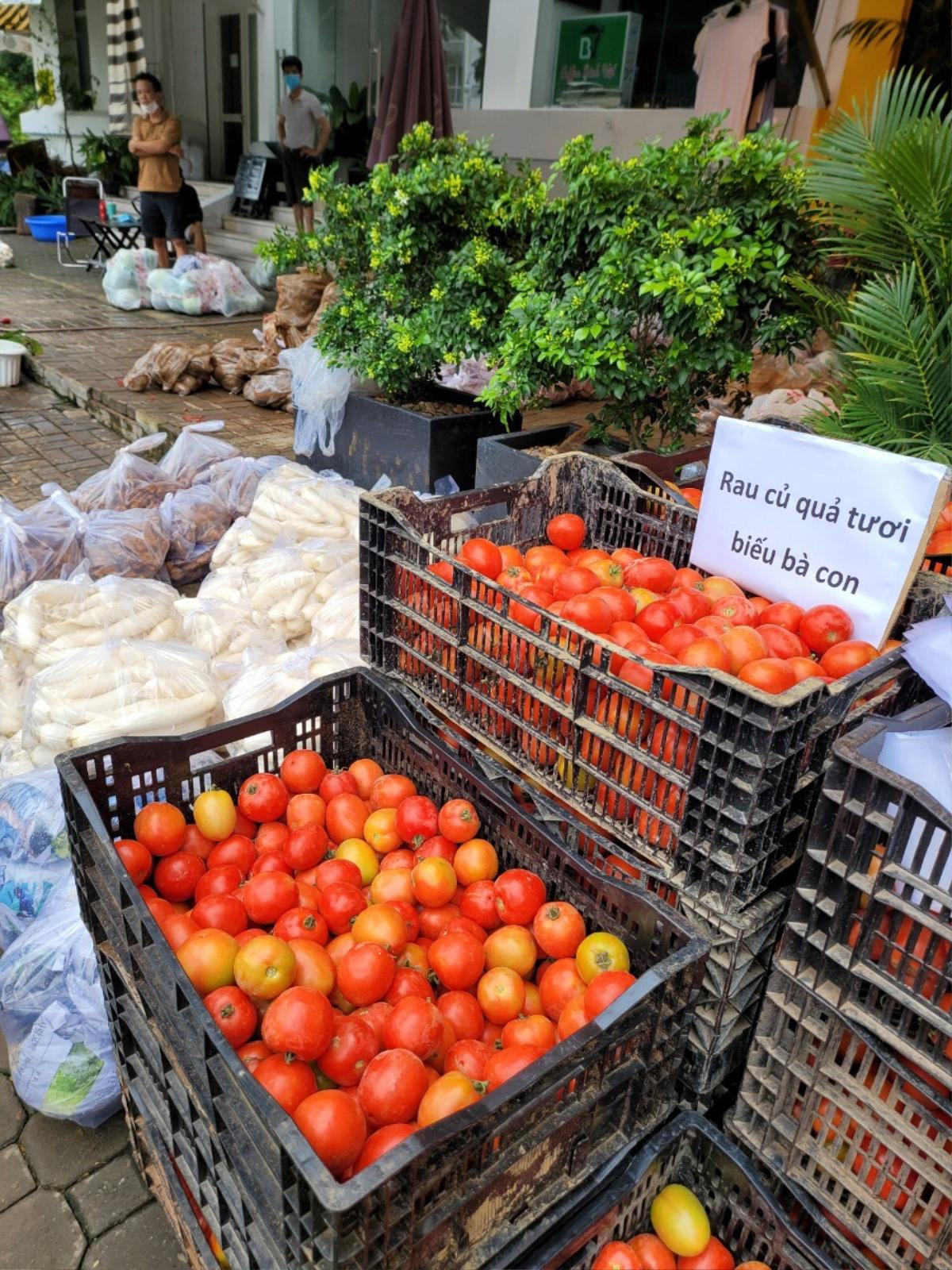 'Người tình' của bầu Đức, bầu Thắng, bầu Hải lặng lẽ 'toả hương' giữa mùa COVID-19 Ảnh 3