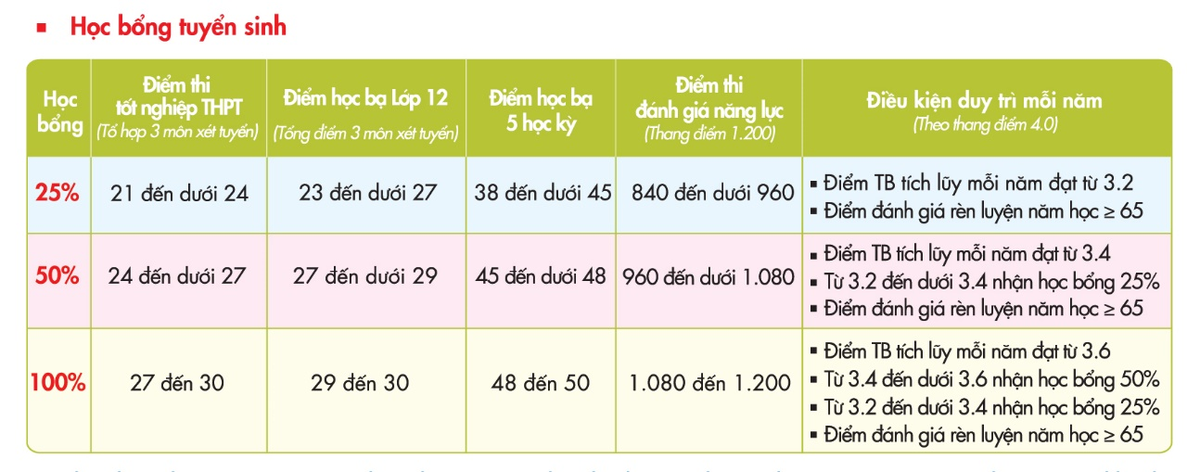 Nhiều đại học tại TP.HCM công bố điểm trúng tuyển theo kết quả thi đánh giá năng lực ĐHQG TP.HCM Ảnh 6