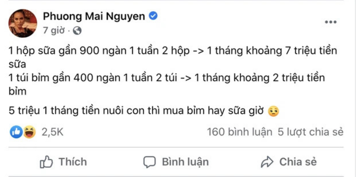 MC Phương Mai hỏi 5 triệu nuôi con 1 tháng nên 'mua bỉm hay mua sữa', tuyên bố ai đó 'sống lỗi' Ảnh 1