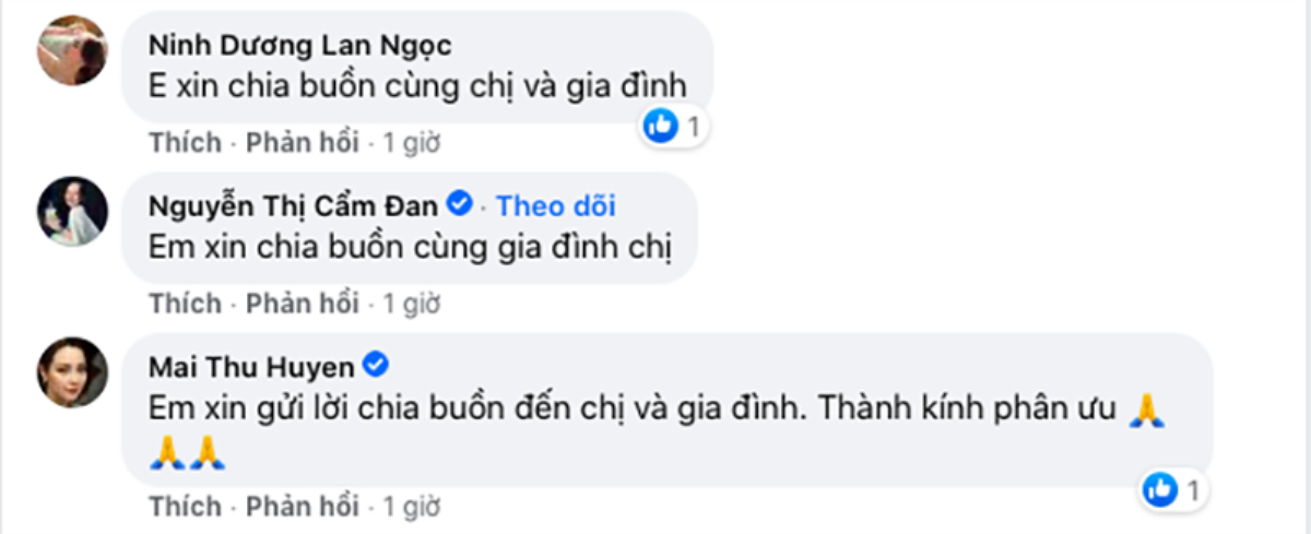 NSƯT Quốc Trụ - bố Hoa hậu Hà Kiều Anh qua đời, nhiều nghệ sĩ Việt xót xa chia buồn Ảnh 5