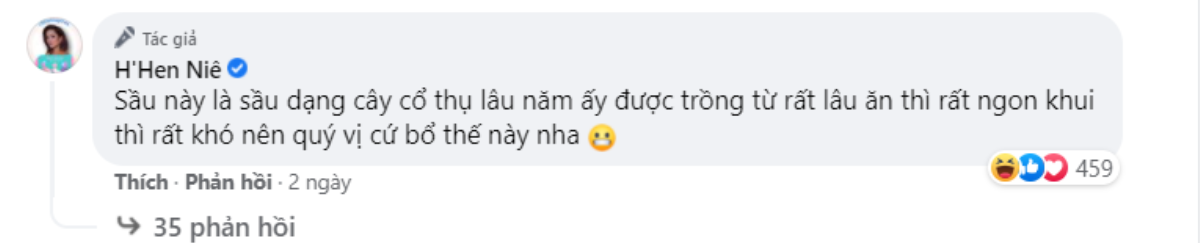 Xem H'Hen Niê bổ sầu riêng mà cư dân mạng 'cười ra nước mắt': Bổ kiểu này thì làm sao làm dâu được đây! Ảnh 3