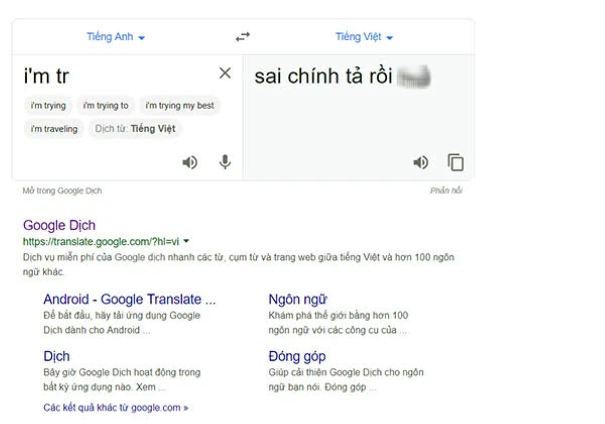 Nghi vấn Google Dịch bị hacker Việt tấn công? Ảnh 3