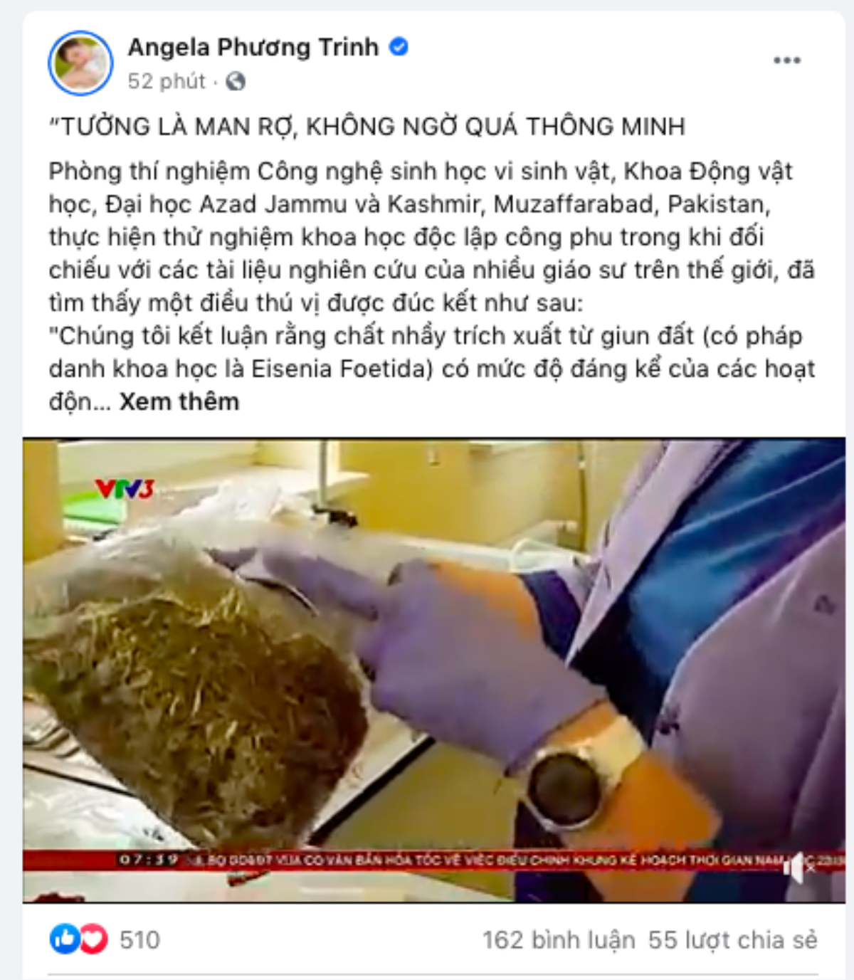 VTV cảnh báo 'địa long chữa COVID-19' mà Angela Phương Trinh đang nhiệt tình quảng bá Ảnh 2