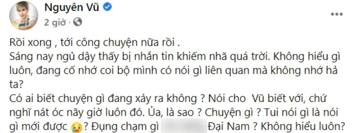 Nguyên Vũ bị dân mạng 'công kích', không hiểu đã 'đụng chạm gì' nữ CEO Đại Nam? Ảnh 2