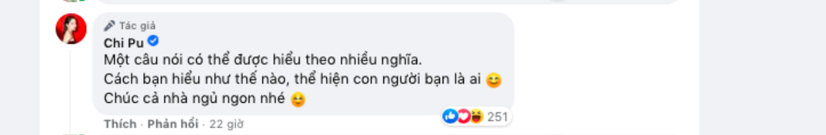 Bị nói 'dở văn mà còn hay đạo lý', Chi Pu đáp trả anti-fan Ảnh 6