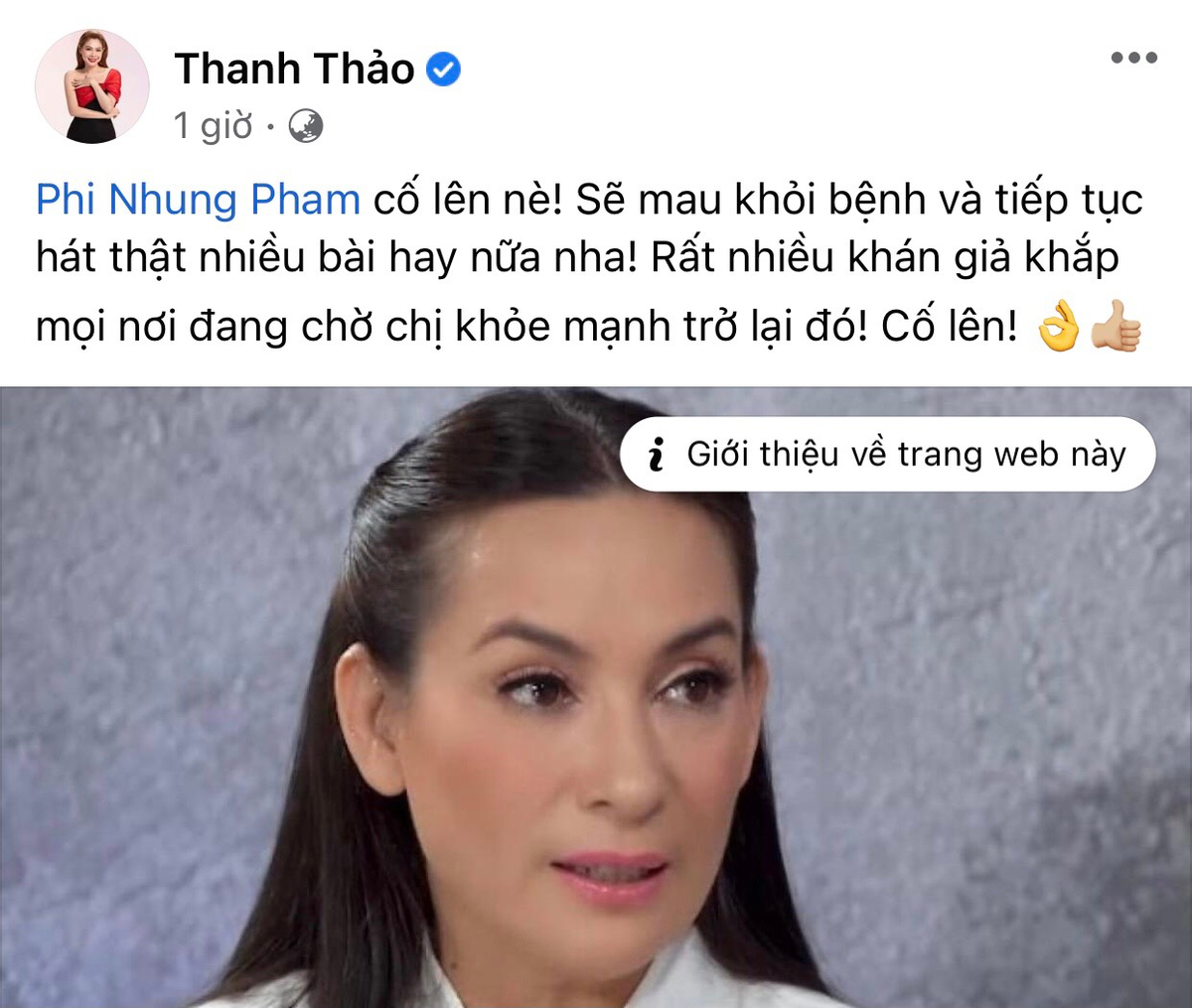 Dàn sao Việt gửi lời động viên Phi Nhung khi hay tin nữ ca sĩ nhiễm Covid-19 Ảnh 2