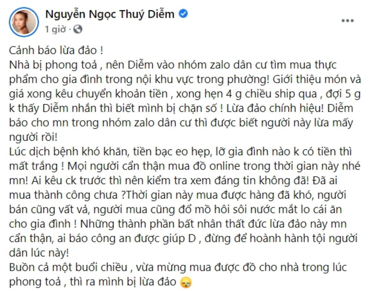 Thúy Diễm tức giận vì bị lừa tiền mua hàng trong mùa dịch: 'Những thành phần bất nhân thất đức' Ảnh 2