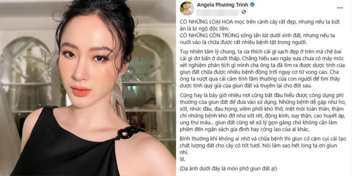 Angela Phương Trinh khoe tô phở địa long, dân tình nhìn mà phát hãi Ảnh 1