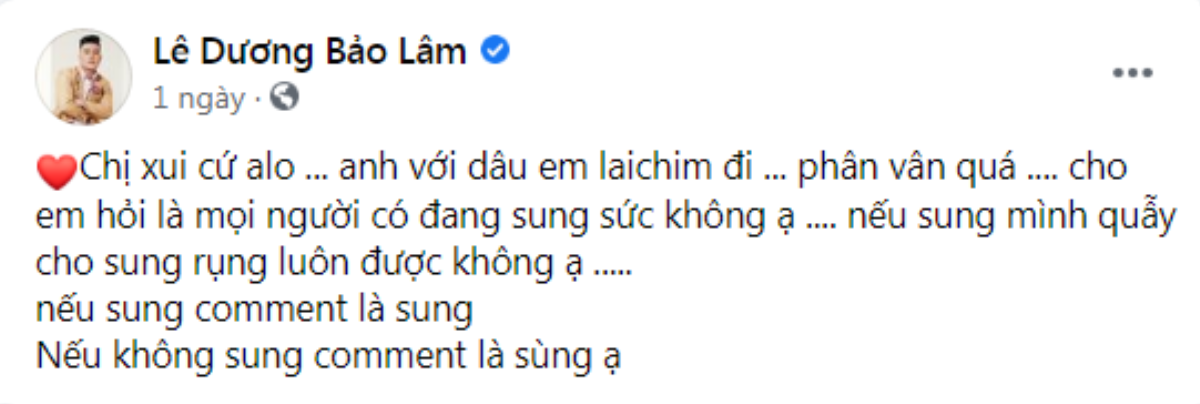 Lê Dương Bảo Lâm bất ngờ 'alo chị sui' Hồ Ngọc Hà, đòi 'quẫy cho sung rụng' khiến netizen 'há hốc' Ảnh 3